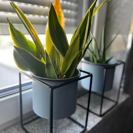 Apartament Moderne Grossraeumige